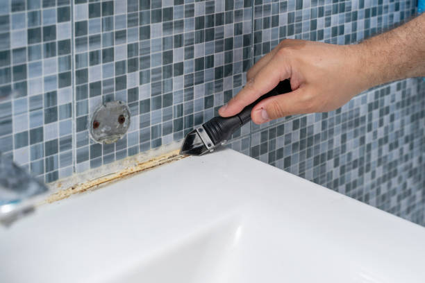 Best Certified Mold Removal  in Seminole Manor, FL